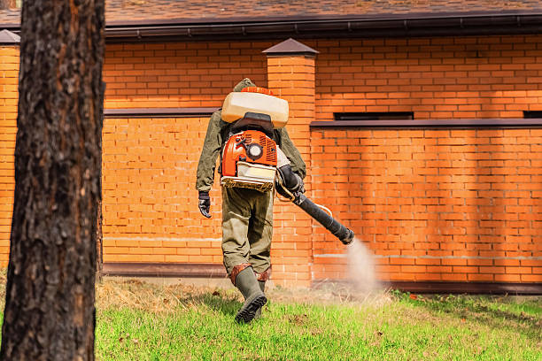 Top rated local Ant Control specialists in Gladstone, MI